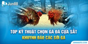 Kỹ thuật chọn gà đá cựa sắt